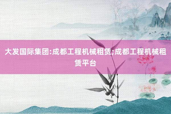 大发国际集团:成都工程机械租赁;成都工程机械租赁平台